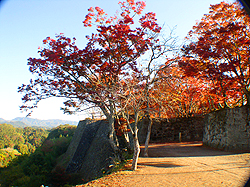 岡城魅力づくり