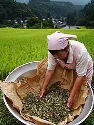 薬膳惣菜研究会